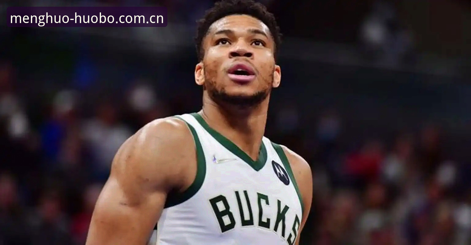 NBA选秀夜转会风向深度评测：字母哥动向、快船棋局与火博体育数据终端下的真实博弈